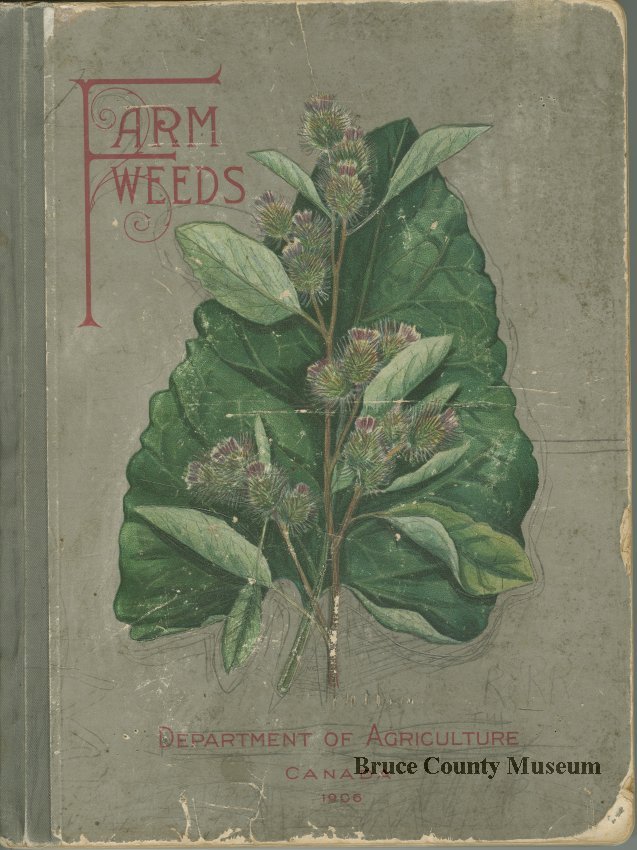 #DYK?: The Department of Agriculture published books to educate farmers about aspects of farming such as weeds and weed control?  

This book was published in 1906 and donated to the Pinkerton library by the Department of Agriculture.

brucemuseum.pastperfectonline.com/archive/2C70BB…