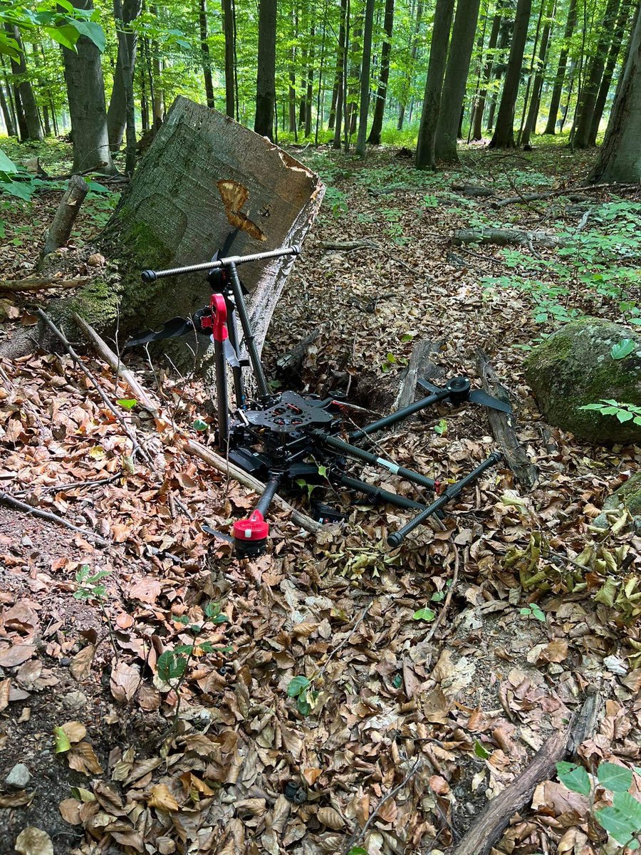 Martin Mokros 🌳 📷 🇸🇰 🇬🇧 tweet media