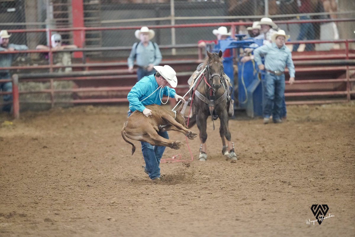 Dave Campbell's Texas Football — TexasFootball.com (@dctf) on Twitter photo Cole Roberts is a star on the field and in the rodeo arena
texasfootball.com/article/2022/0… 🤠 <a href="/amirajvl/">Amira Van Leeuwen</a> | #dctf #txhsfb #rodeo
<a href="/Coleroberts55/">Cole Roberts</a> <a href="/WPISDTigers/">Wills Point ISD Athletics</a> Cole Roberts is a star on the field and in the rodeo arena
texasfootball.com/article/2022/0… 🤠 <a href="/amirajvl/">Amira Van Leeuwen</a> | #dctf #txhsfb #rodeo
<a href="/Coleroberts55/">Cole Roberts</a> <a href="/WPISDTigers/">Wills Point ISD Athletics</a>