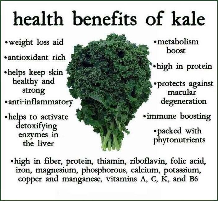 OrganicLiveFood's tweet photo. How #Kale is the new beef: https://t.co/1V6oLQBstB Kale is a great anti-inflammatory food high in #omega3 fatty acids that can fight against asthma, autoimmune disorders and #arthritis https://t.co/1R4EB5YiLJ