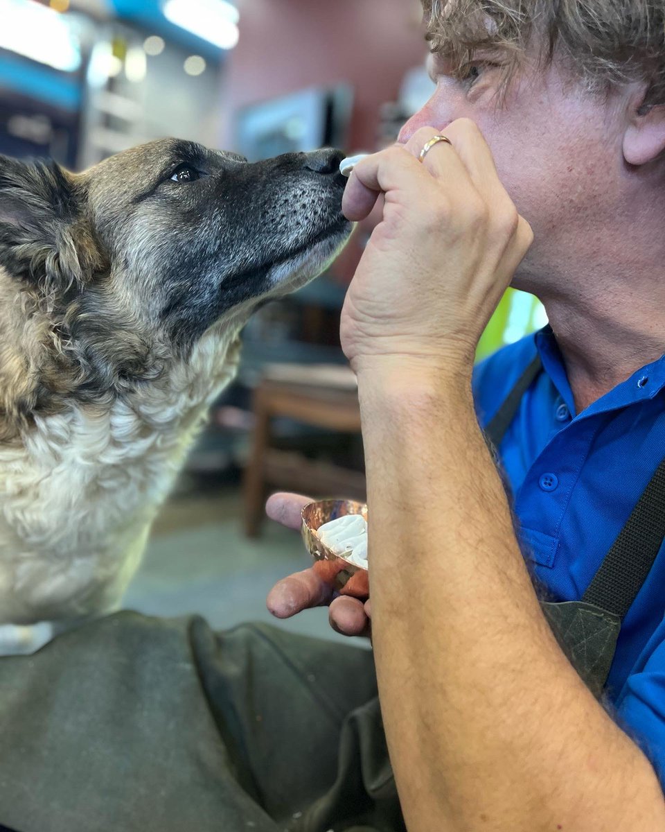 Ben Caldwell is enjoying his hand made copper snack bowls. The only person you have to share with is your furry friend 🐶 

#artist #coppersmith #furryfriend #solidcopper #snacks #finearts #benandlaelcopper #dogsofinstagram #dogs #sharingsnacks