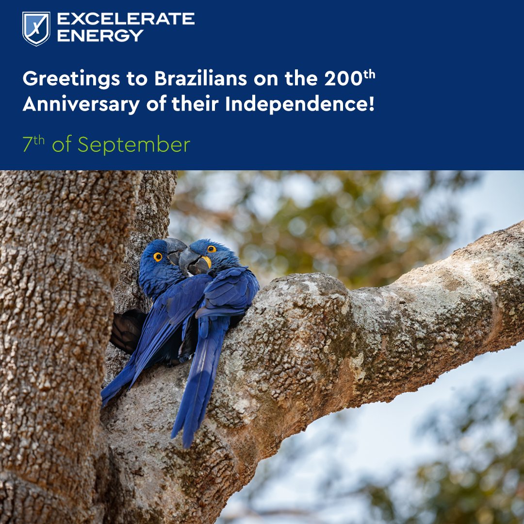 Excelerate_EE's tweet image. Happy Independence Day to the citizens of Brazil, including both our onshore Brazilian colleagues and seafarers on the FSRU Excelerate Sequoia in Salvador, Bahia, and the FSRU Experience in Guanabara Bay. 

#ExcelerateEnergy #EE #7desetembro #DiadaIndependência #Brasil