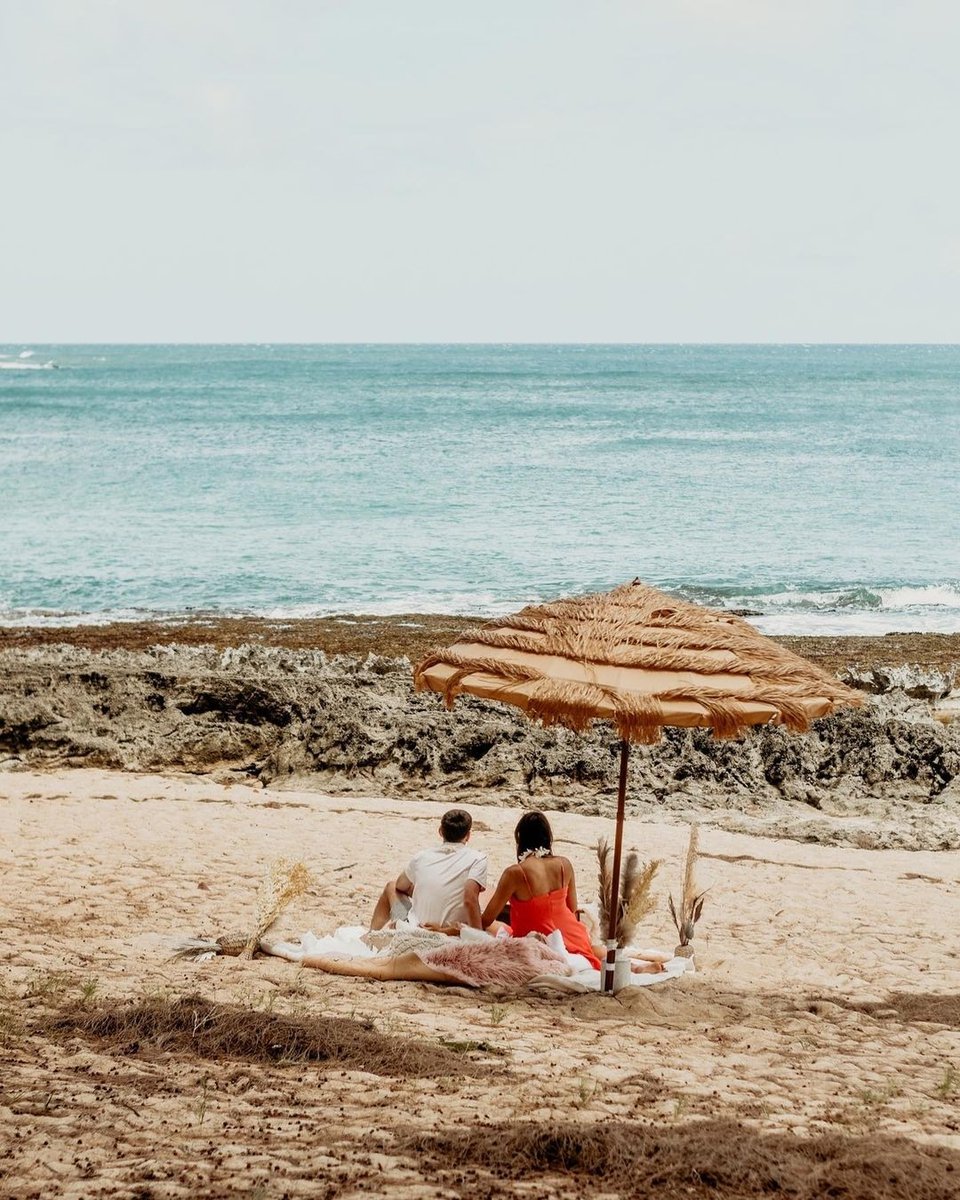 Turtle Bay Resort tweet media