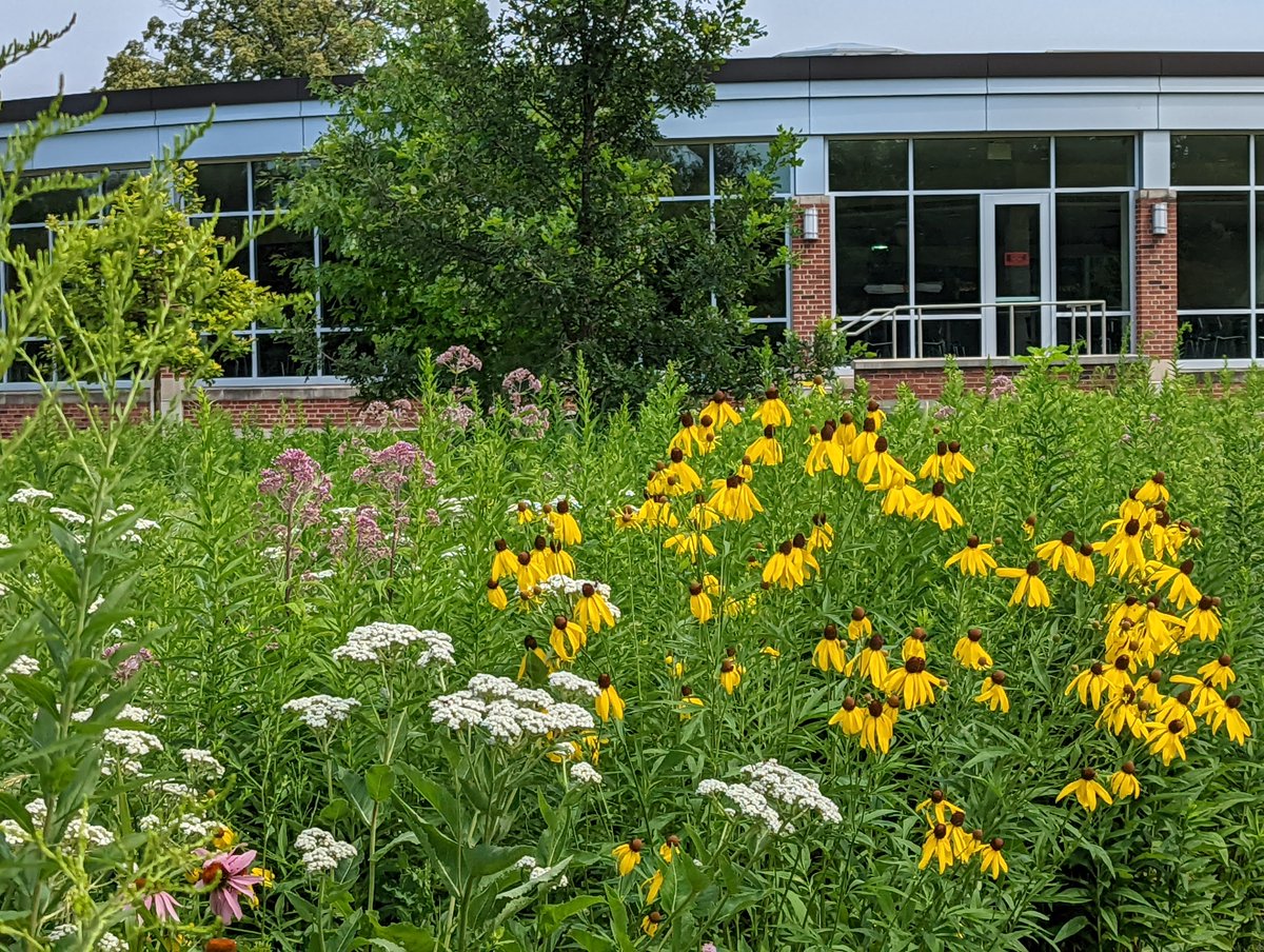 Lake Forest College is one of the nation’s best institutions for undergraduates, according to the most recent rankings released by the The Princeton Review. Read more about how the College ranked:  ow.ly/gou650KC8ra