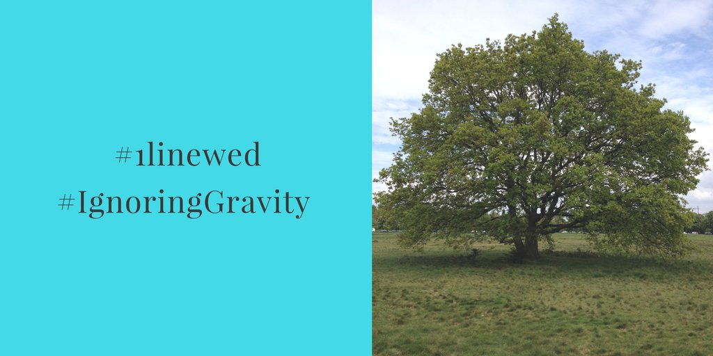 SandraDanby's tweet photo. 'Who are you?' She spoke aloud but no-one heard her 
#IgnoringGravity 
#1linewed https://t.co/rcWWvMALSH