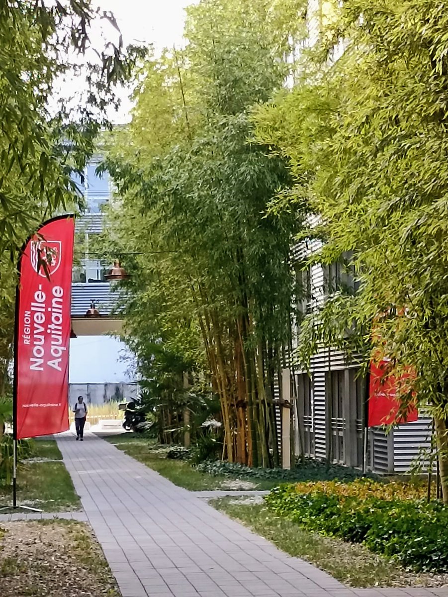 Nouvelle-Aquitaine tweet media