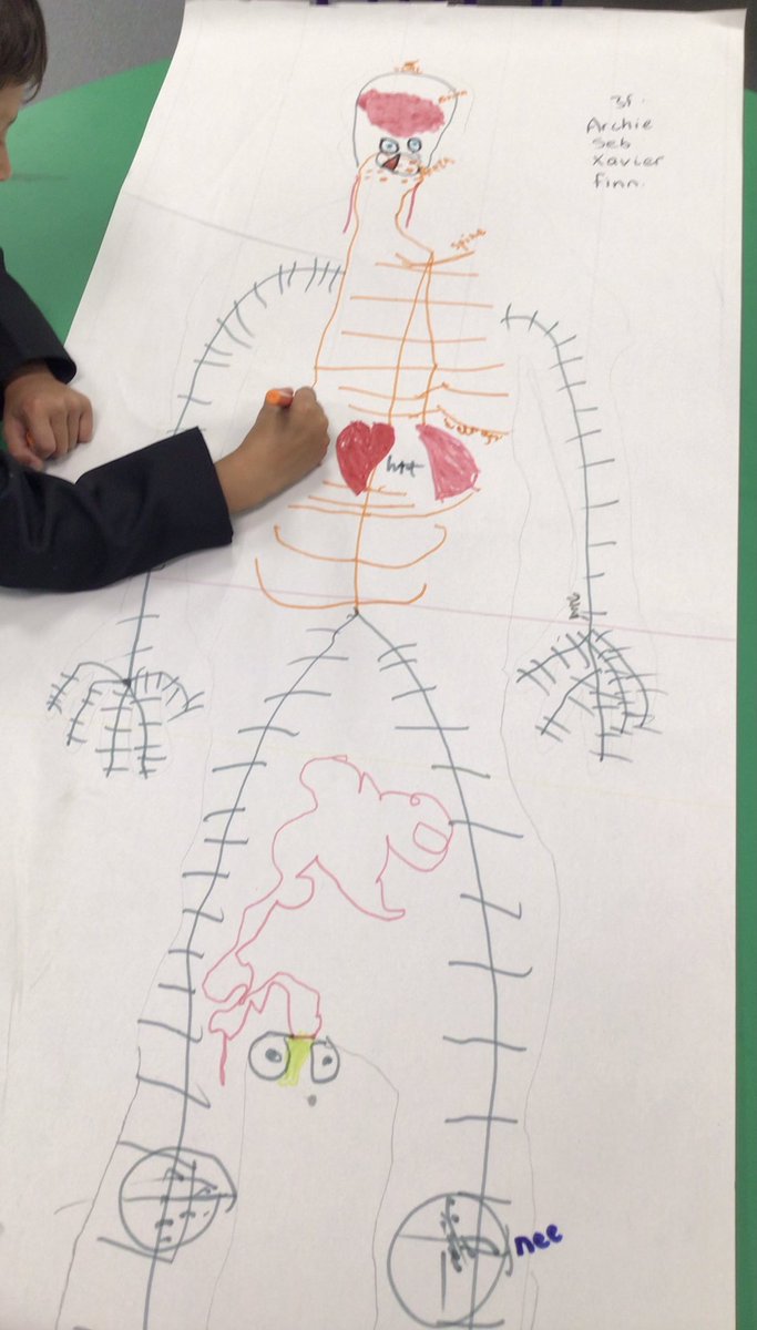 WPatemanscience's tweet photo. It was lovely to meet the new year 3s and watch their reaction to the science room. They demonstrated their initial understanding of the human body. Great teamwork! https://t.co/IG4u7DgdhS