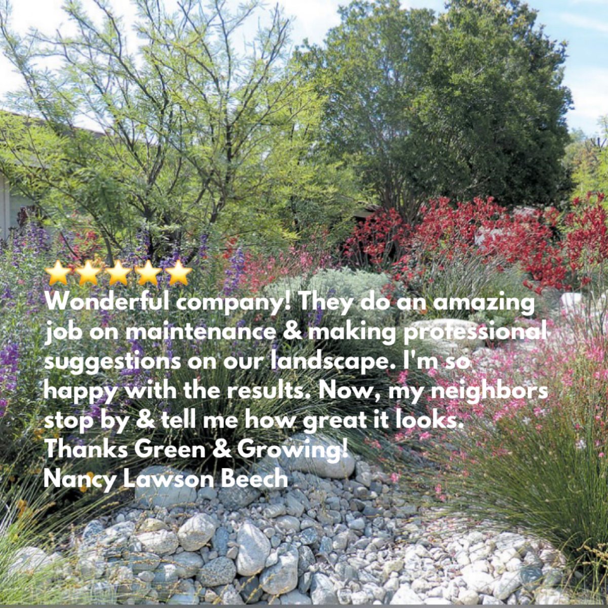 GreenGrowLS's tweet photo. Another 5 Star Review ⭐️
Our goal is to always provide exceptional service. So, we really appreciate it when our clients take notice.
•
Knowing our efforts have made a difference is reward enough. Because, ultimately client satisfaction is what we strive for. https://t.co/bmTU7CxIby