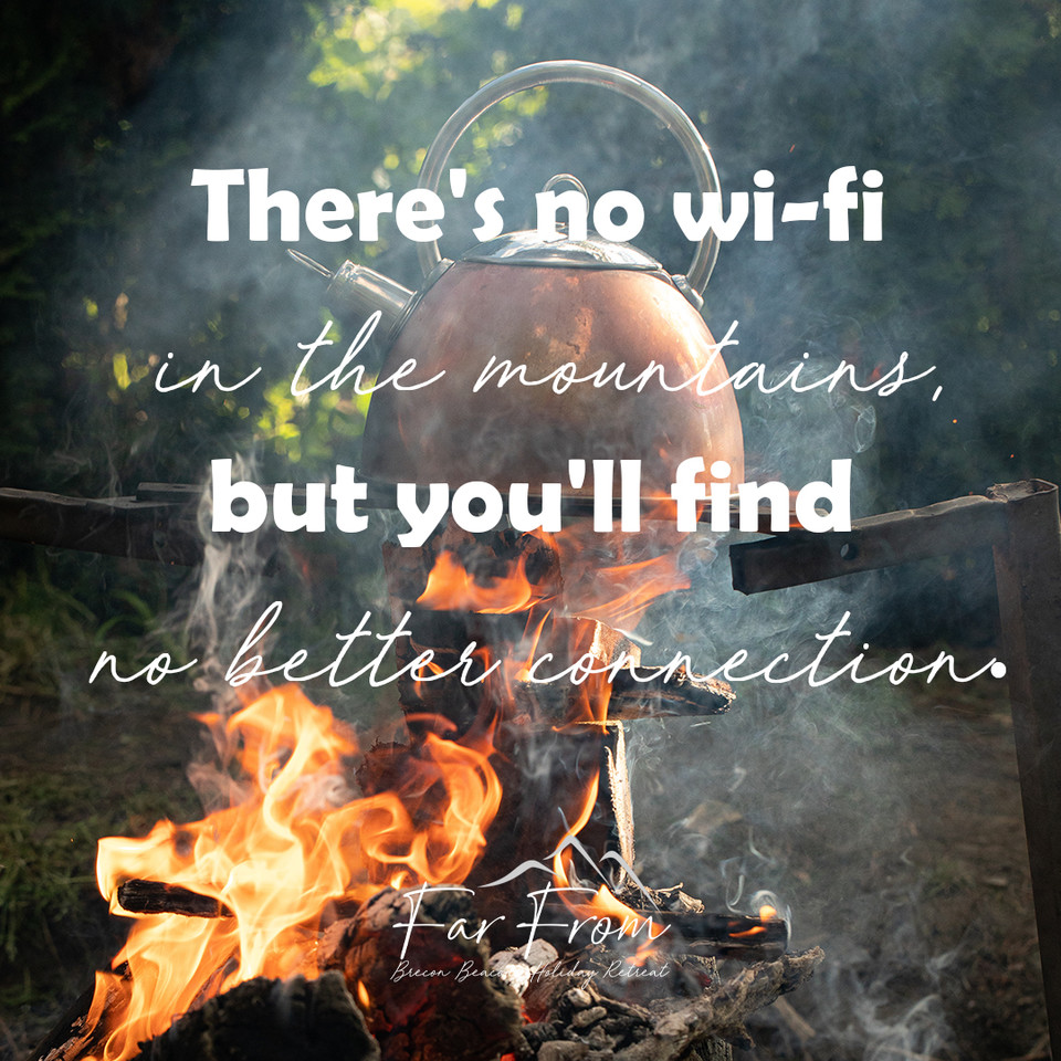 FarFromBrecon's tweet photo. In nature, nothing is perfect and everything is perfect💚
#farfromholidayretreat #hottublodge #rescueanimals #animalsanctuary #farmanimals #thereasonbehind #lovewhatwedo #meettheanimals #meetthefamily https://t.co/UynSO4DWmi