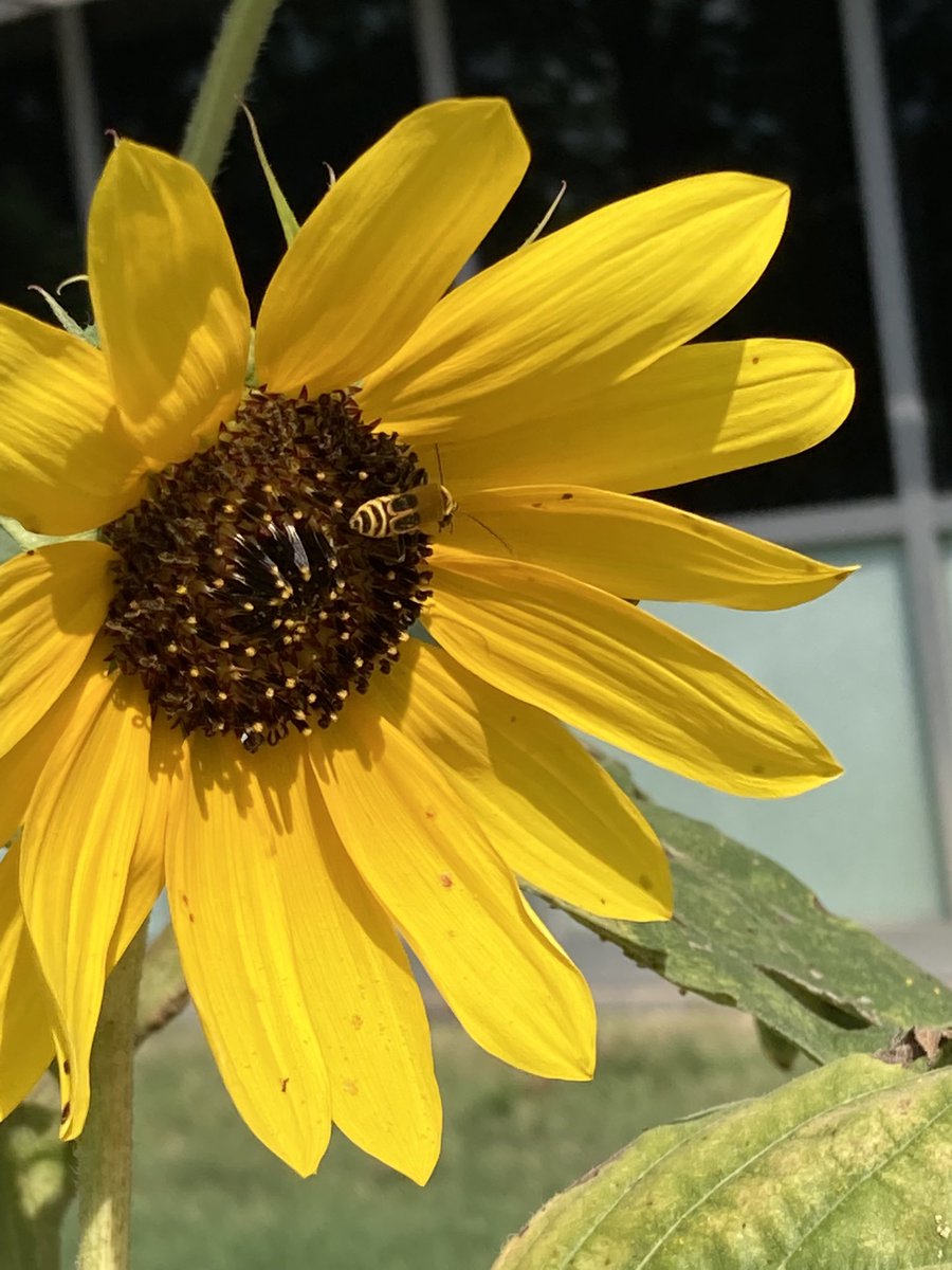 Taking our learning outside with Farm-to-School! <a href="/WestBlvdElem/">West Boulevard Elem</a> Next lesson is <a href="/ColumbiaUrbanAg/">CCUA</a>!