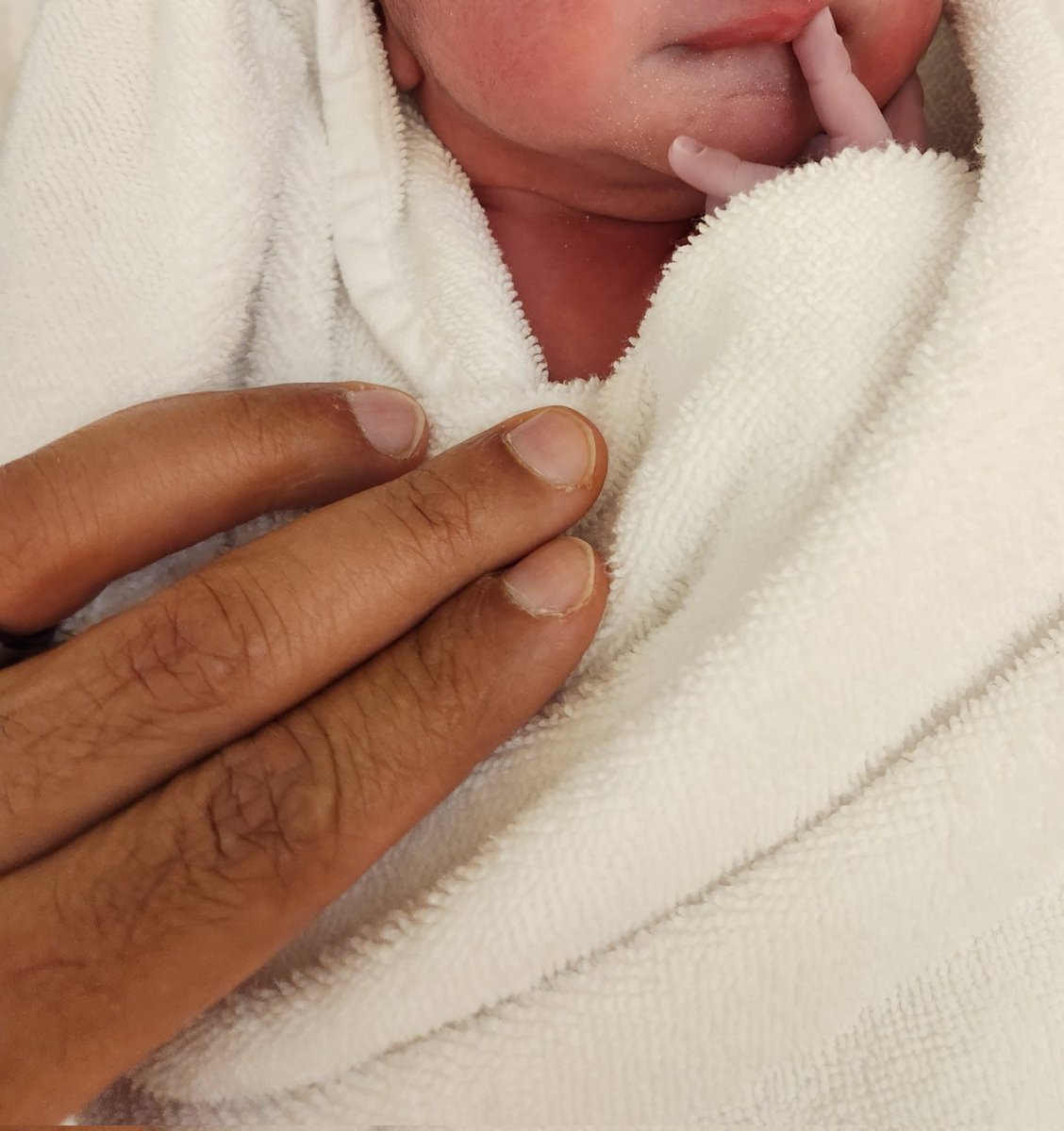 فيصل السيف tweet media