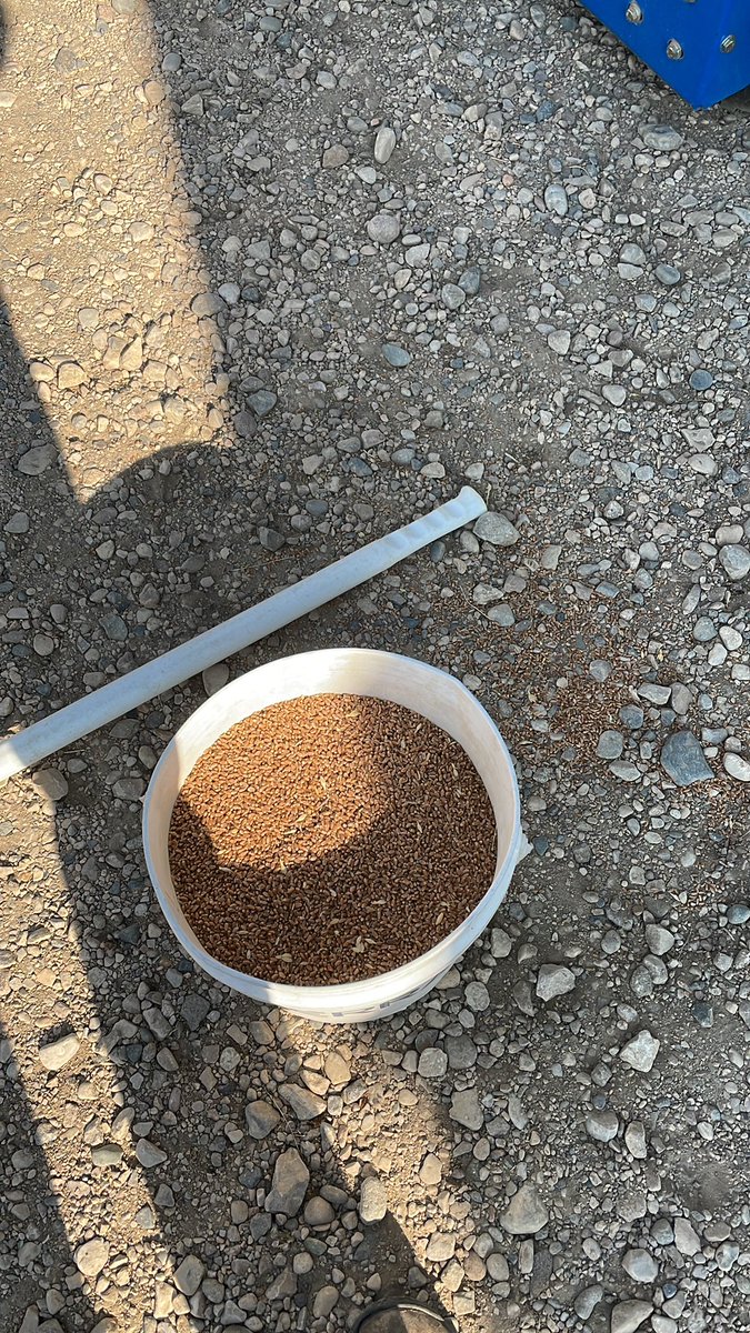 rgstone1's tweet photo. @rhofford Use same fertilizer.
Order less rain #viewfield https://t.co/vZ2pOfUdgT