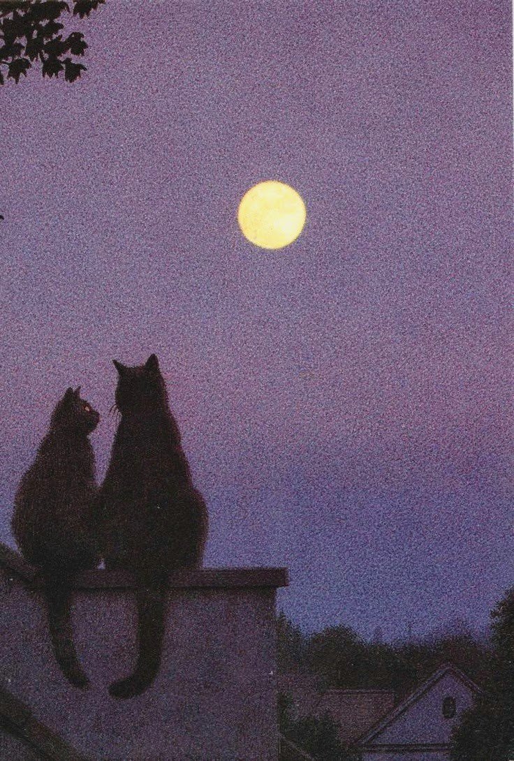 Quint Buchholz