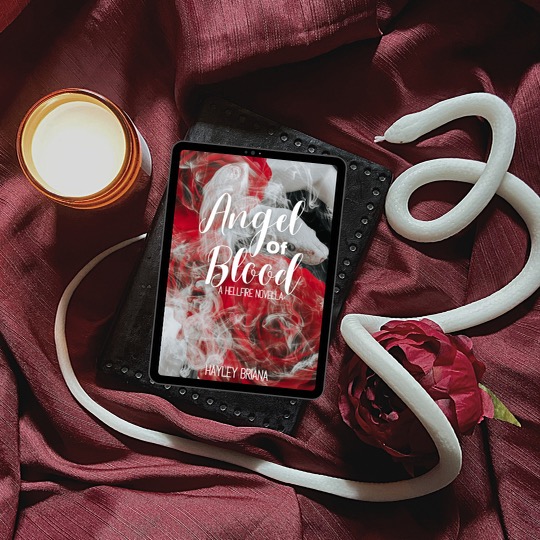 HBrianaWrites's tweet photo. Angel of Blood Dual Cover Reveal! #hayleybrianawrites #beautyandthebookcase #coverreveal #indieauthors #indieauthor https://t.co/LtDO5RDSpN