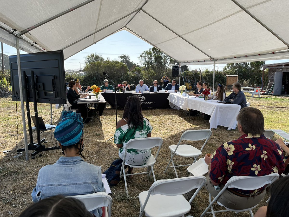 Paul Towers tweet media