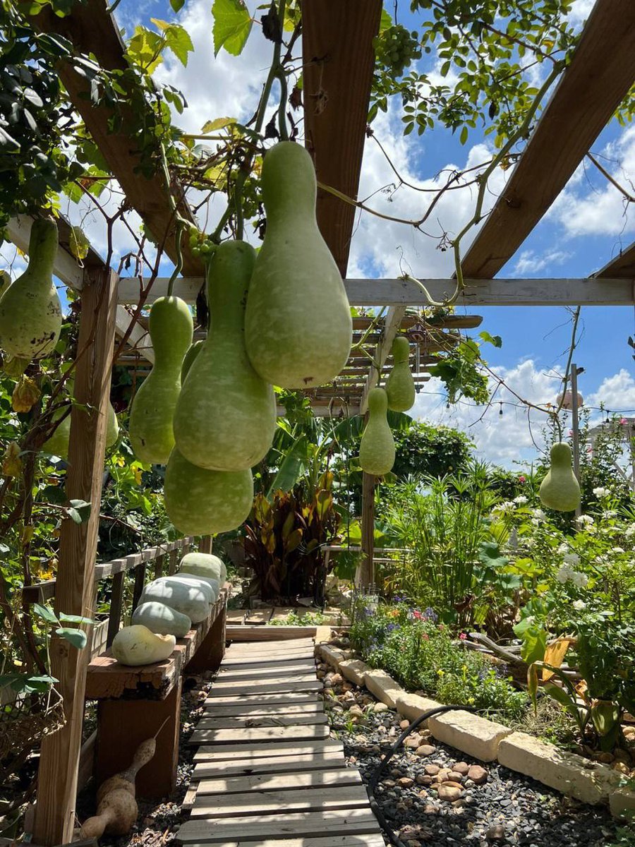 ahmnloak's tweet photo. Calms the mind 💚 https://t.co/SLJhl9wAVV