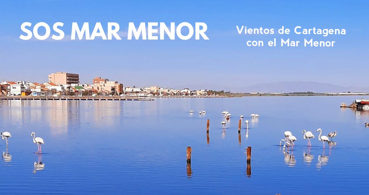 Vientos de Cartagena tweet media