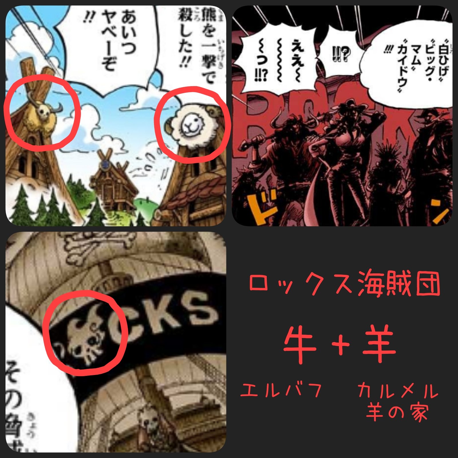 ロックス海賊団 Twitter Search Twitter