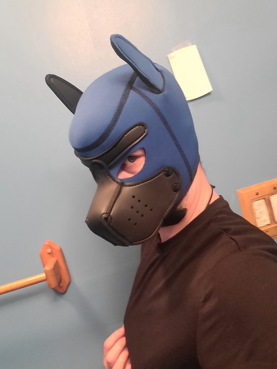 OtterHare's tweet photo. @Pup_Hunterfurry #PUPWALLPROJECT https://t.co/dbOtJKM2iI