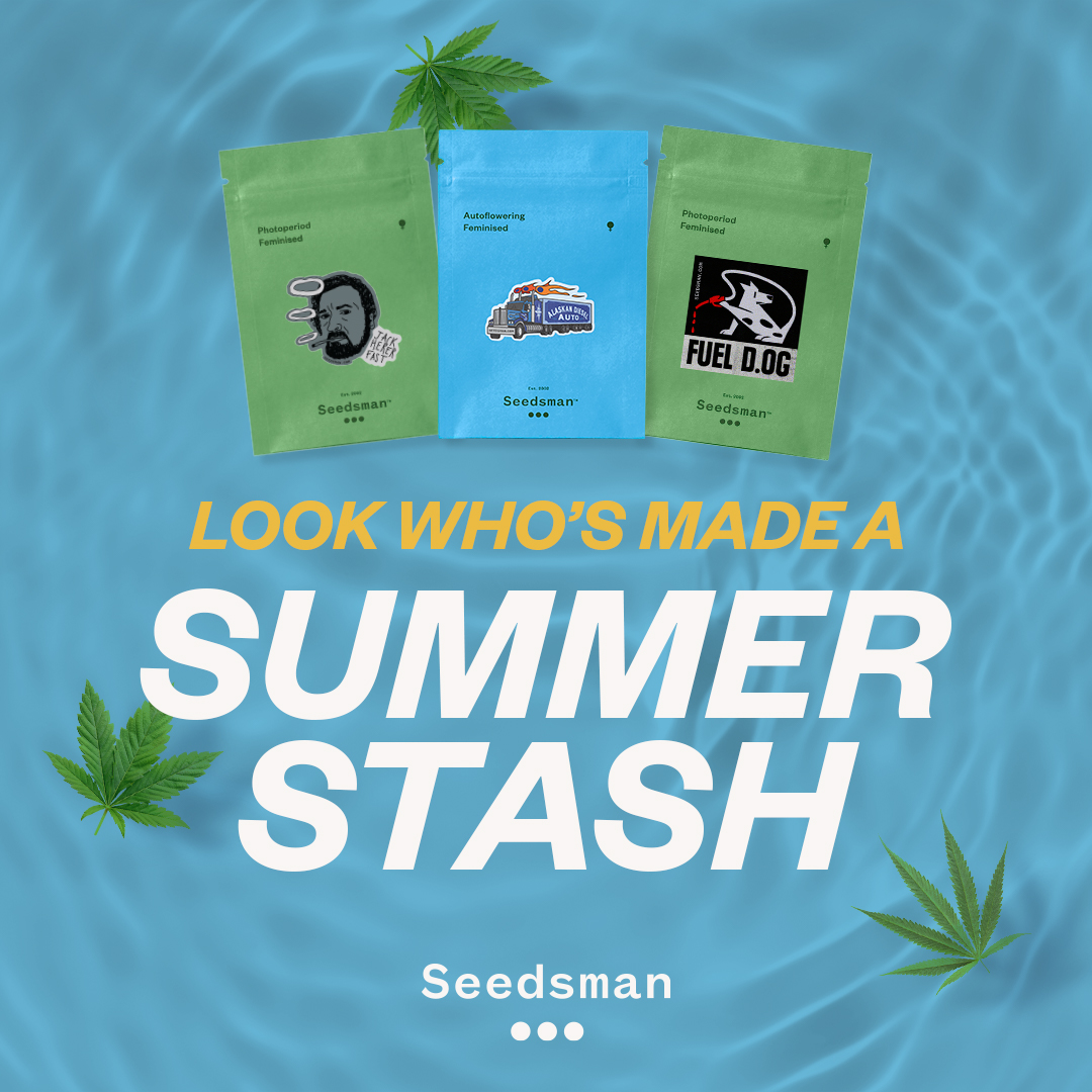 SeedsmanSeeds's tweet photo. September and the return to the routine have arrived, but we are still in summer mode.😎 ☀️ 🍻 

That's why we continue to offer you our best summer deals https://t.co/7oUBalr9sd 😋 

#summerselection #seedsmanseeds https://t.co/gRmmPBf89T