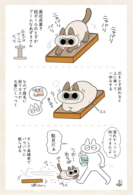 ちょうど掃除機かけようと思ってたからね。ありがとうね。 #シャム猫あずきさんは世界の中心 