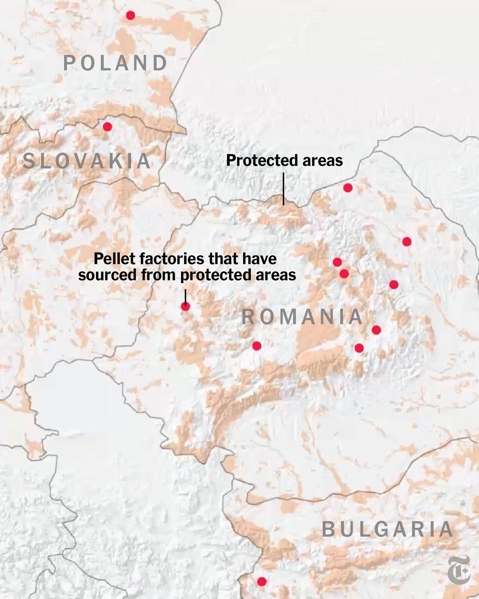 Across Central Europe, companies are clear-cutting forests and grinding up centuries-old trees in the name of renewable energy. The Times went deep into one of Europe’s oldest woodlands to track the cost of using logged trees as a form of clean energy. nyti.ms/3qgu1xZ