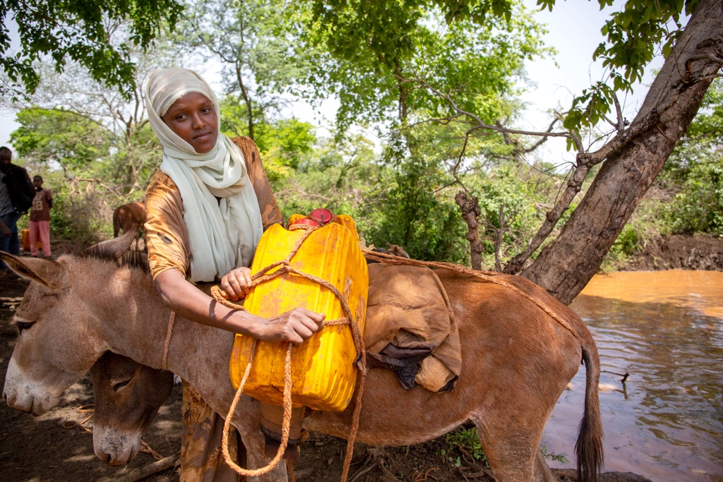 Project Waterfall tweet media