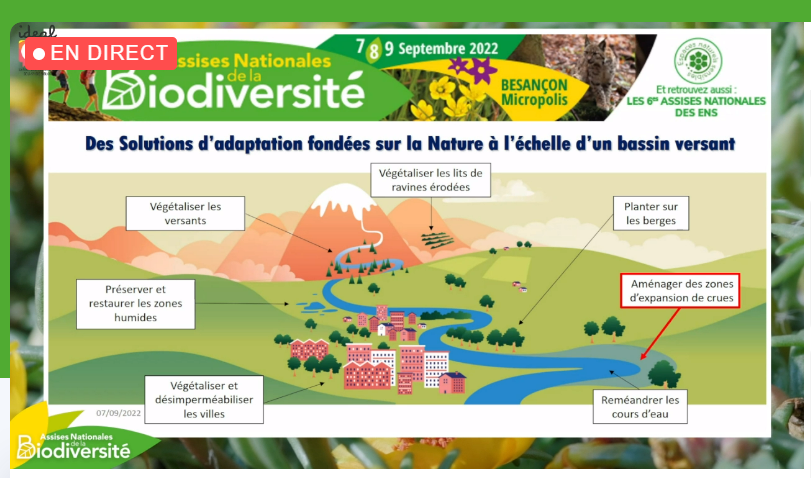 semae_officiel's tweet photo. #ANBiodiv @Assises_Biodiv 
Atelier: Comment intégrer la #biodiversité dans la planification urbaine?
Les solutions fondées sur la nature
#SFN @UICNfrance 

Pour vos projets liés au végétal:
#SemencesAuCoeurDesTransitions
↪️https://t.co/v7pwEkIJUq
↪️https://t.co/NMc4gX1AIF https://t.co/jIDMxvouIC
