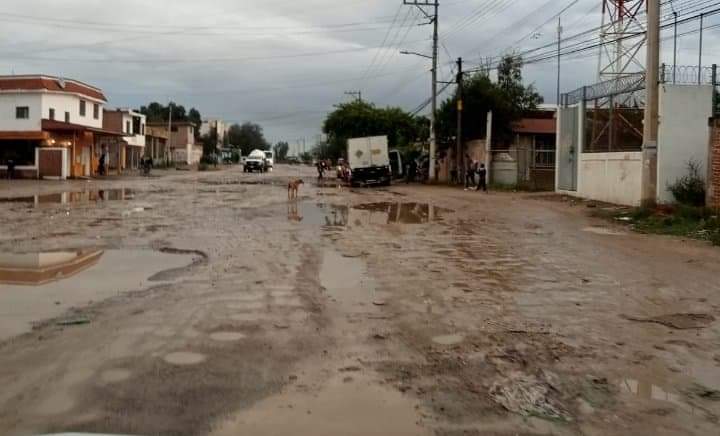 ElSaucitodeSanLuis tweet media