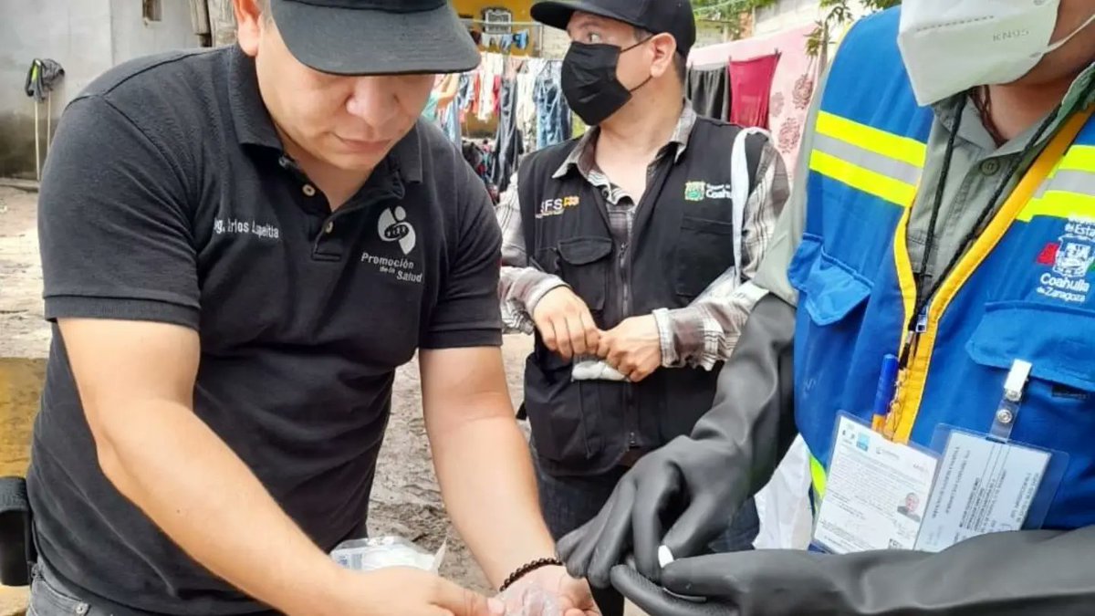 GobDeCoahuila's tweet photo. @DrRobertoBernal, Secretario de Salud, informó que por indicaciones del gobernador @mrikelme se trabajó en acciones de apoyo a las familias en las colonias Morelos, Fonasol, Centro y La Piedras, donde se envió una brigada de especialistas. https://t.co/TJSrZxs3n6