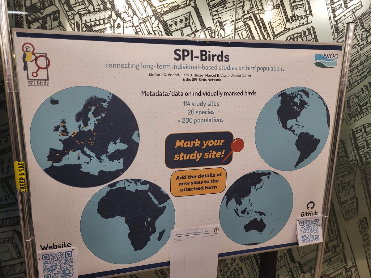 Come to @StefanJGVriend's poster and join the SPI-Birds Network! #HNB2022