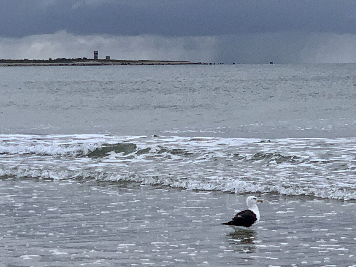 A look at what’s not closed for the season. #everydayisabeachday