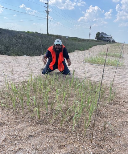 UFcoastal's tweet photo. Our team working on an Engineering with Nature project in Ponte Verda to better understand how intra and interspecific competition and interactions can enhance #dunerestoration and how they may be modified by changing density and nutrient levels! https://t.co/yaE96fwfiA