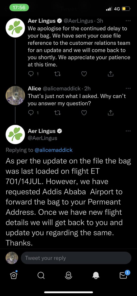 Alice tweet media