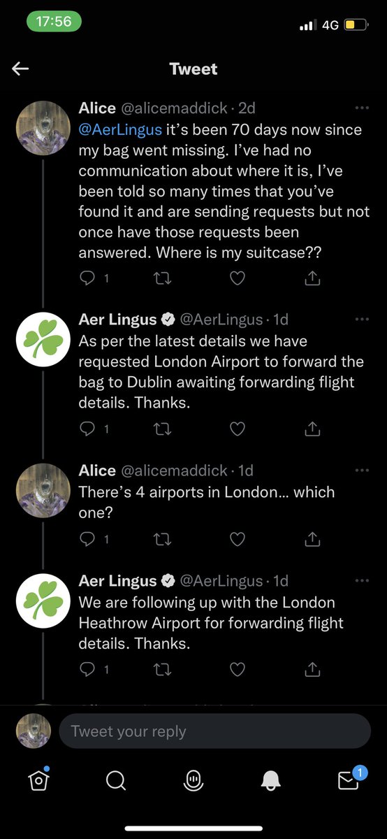 Alice tweet media
