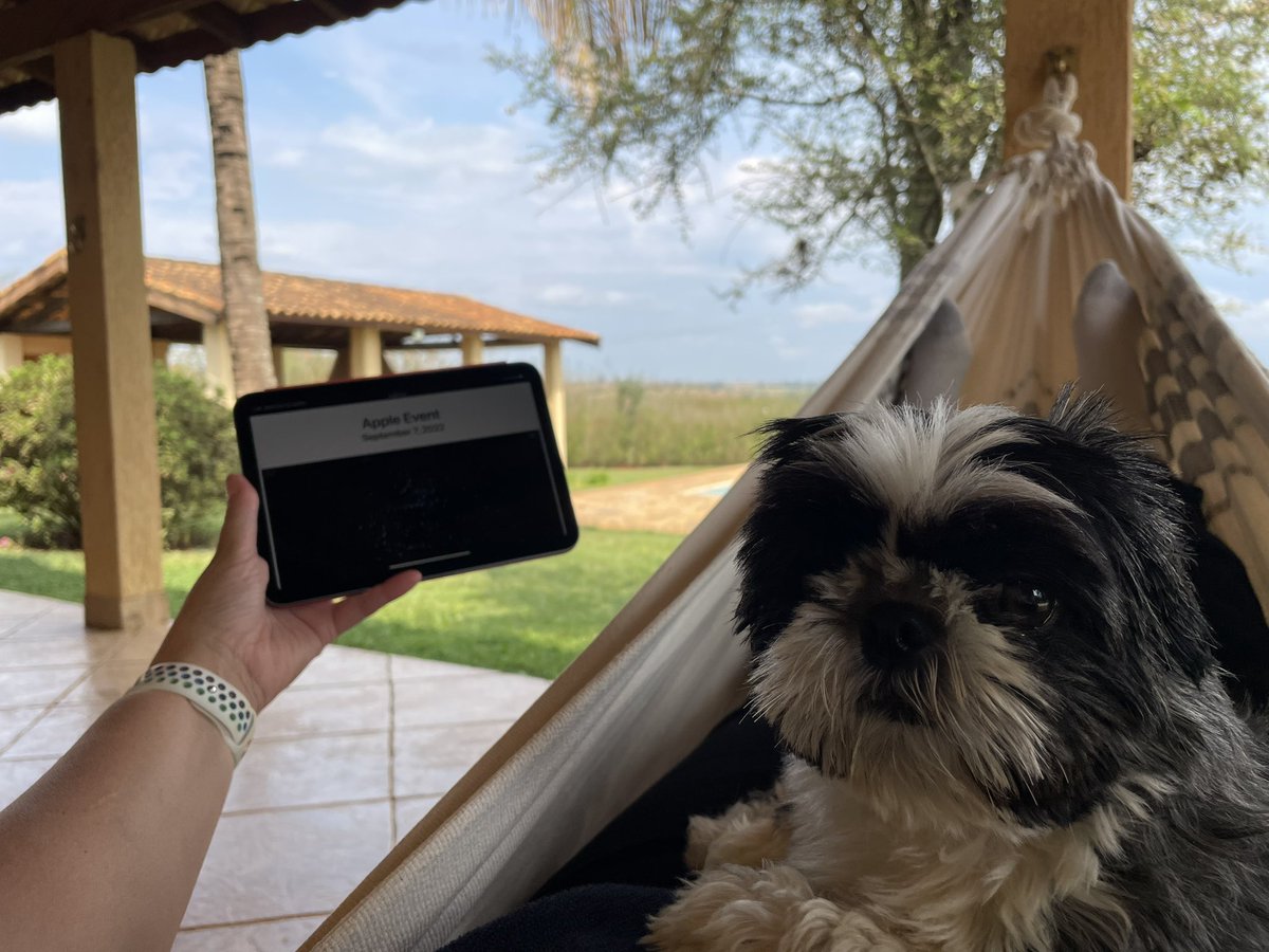 Fabíola Werneck👩💻🏳️🌈 tweet media