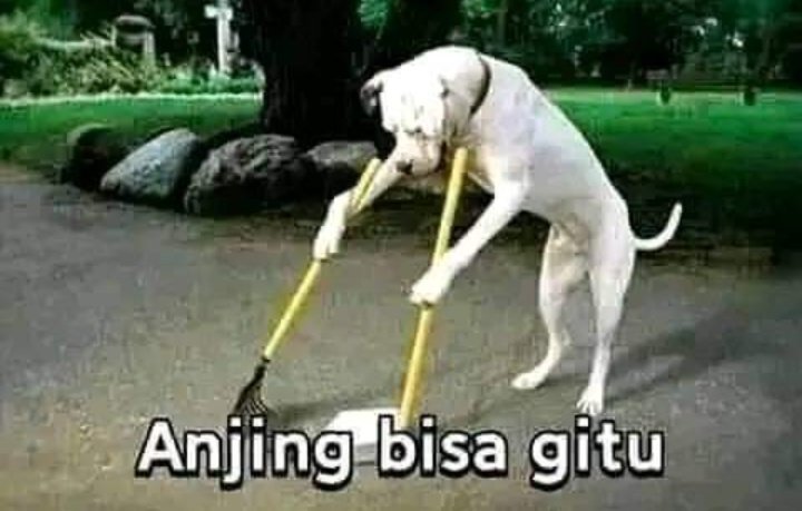 RecehanE's tweet photo. @syamsul_bf @MafiaWasit https://t.co/1mom9SjAFK
