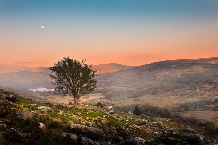 LEEFilters's tweet photo. Snaaapman - Moonshine & Sunset
📍The Black Valley, County Kerry, Ireland
📷Canon 5DS
⬛LEE Filters SW150 System, LEE 0.9 ND Grad, LEE 0.6 ND Grad Soft
https://t.co/TYX6CKfqfO
-
#LEEFilters #photographeroftheday #naturephotographylovers #cameraequipment #cameralighting https://t.co/aZKTg3KUTl