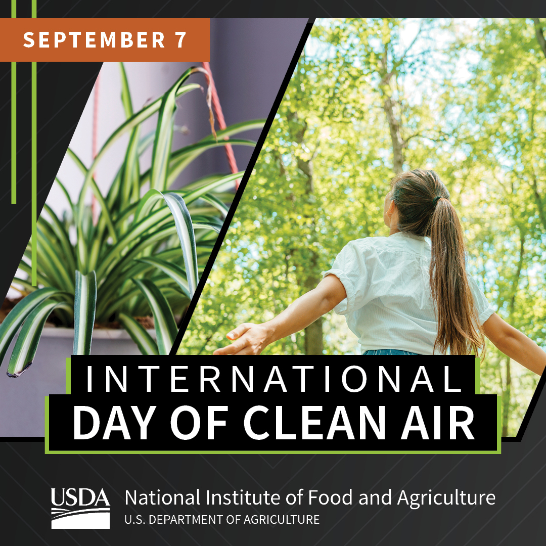 USDA_NIFA's tweet photo. Land-grant Universities scientists are working together to better understand the properties of particulates, how they behave and move through soil, air and water, and how they affect ag production, air quality, human health &amp; climate over time &amp; space. ➡️ https://t.co/ohmcsqqn5t https://t.co/7CwxLWWWHo