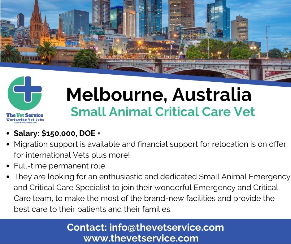 The Vet Service on Twitter "Great work/life balance in Melbourne! 🦘
