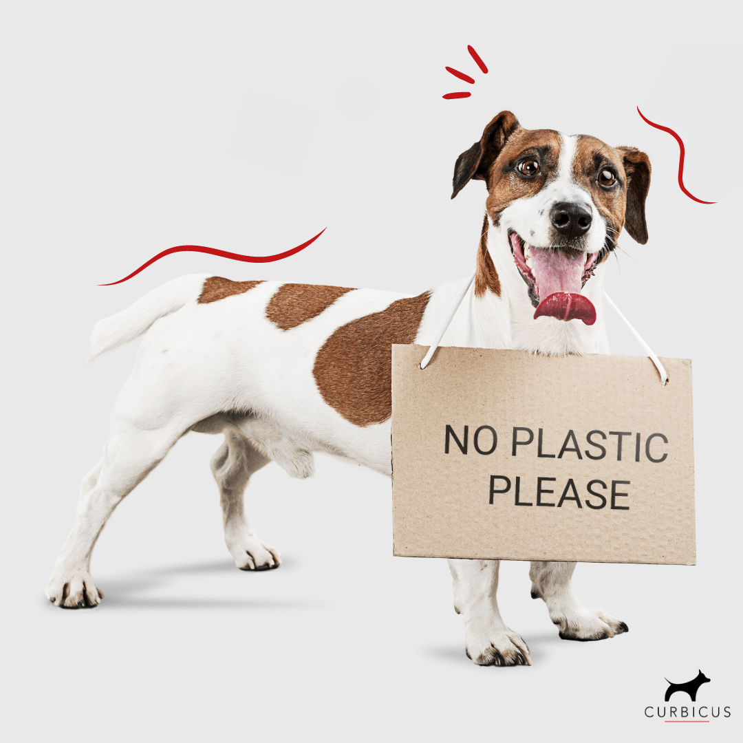 Curbicus tweet media