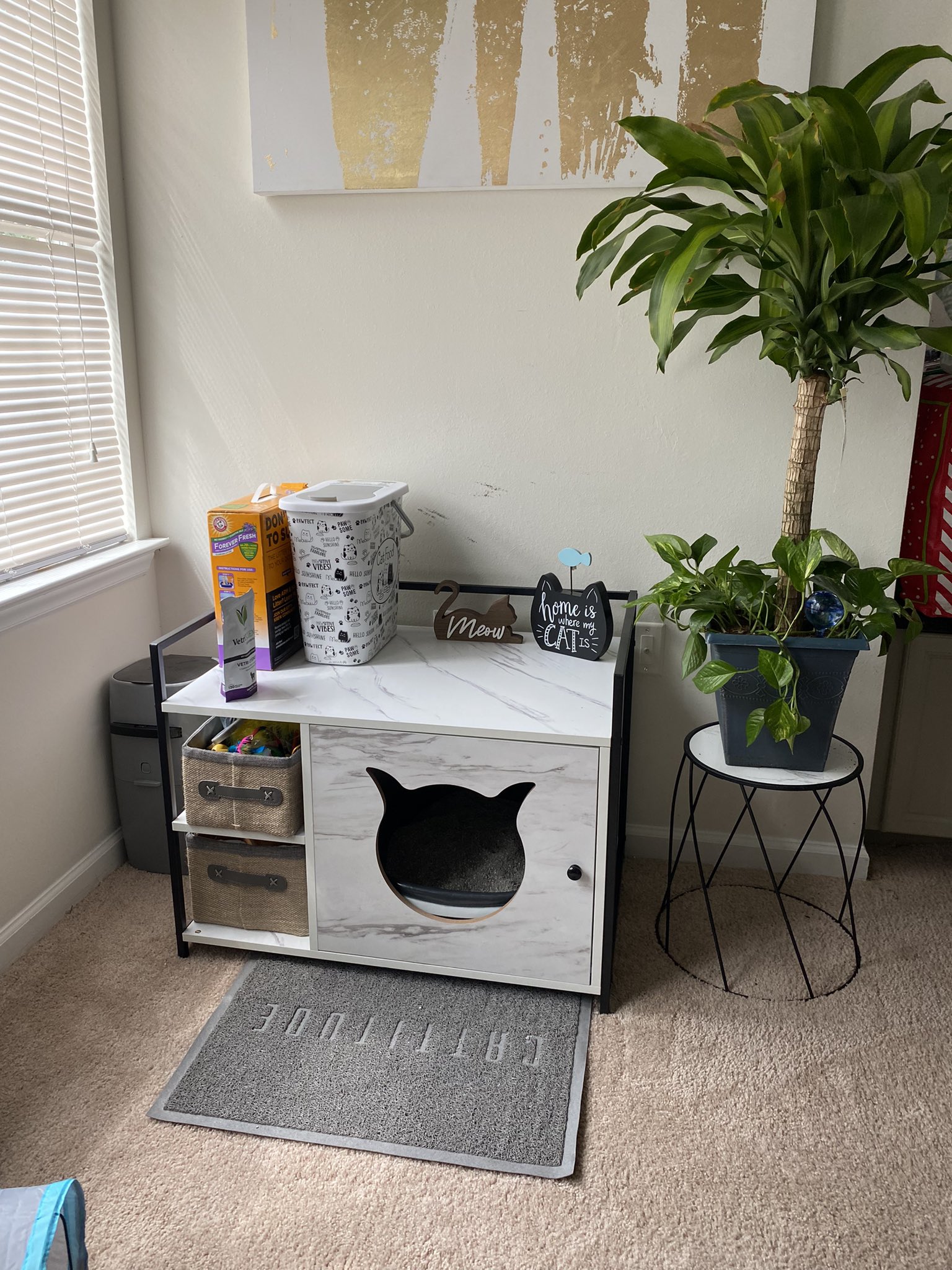 Curlykage 🧡🍥 on Twitter "Asta’s new Kitty Corner 😸🤍 https//t.co