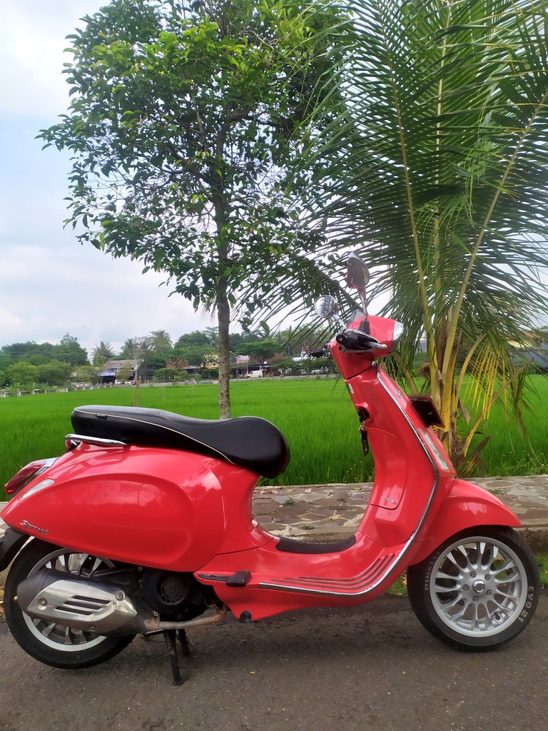 herygardea's tweet photo. Merah merona ❤️ https://t.co/0oznX6lqJc