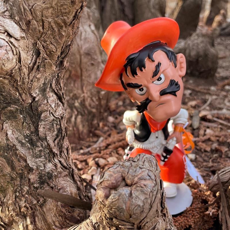 OSU Foundation on Twitter "The Fall 2022 issue of STATE Magazine is now available! Thank you to