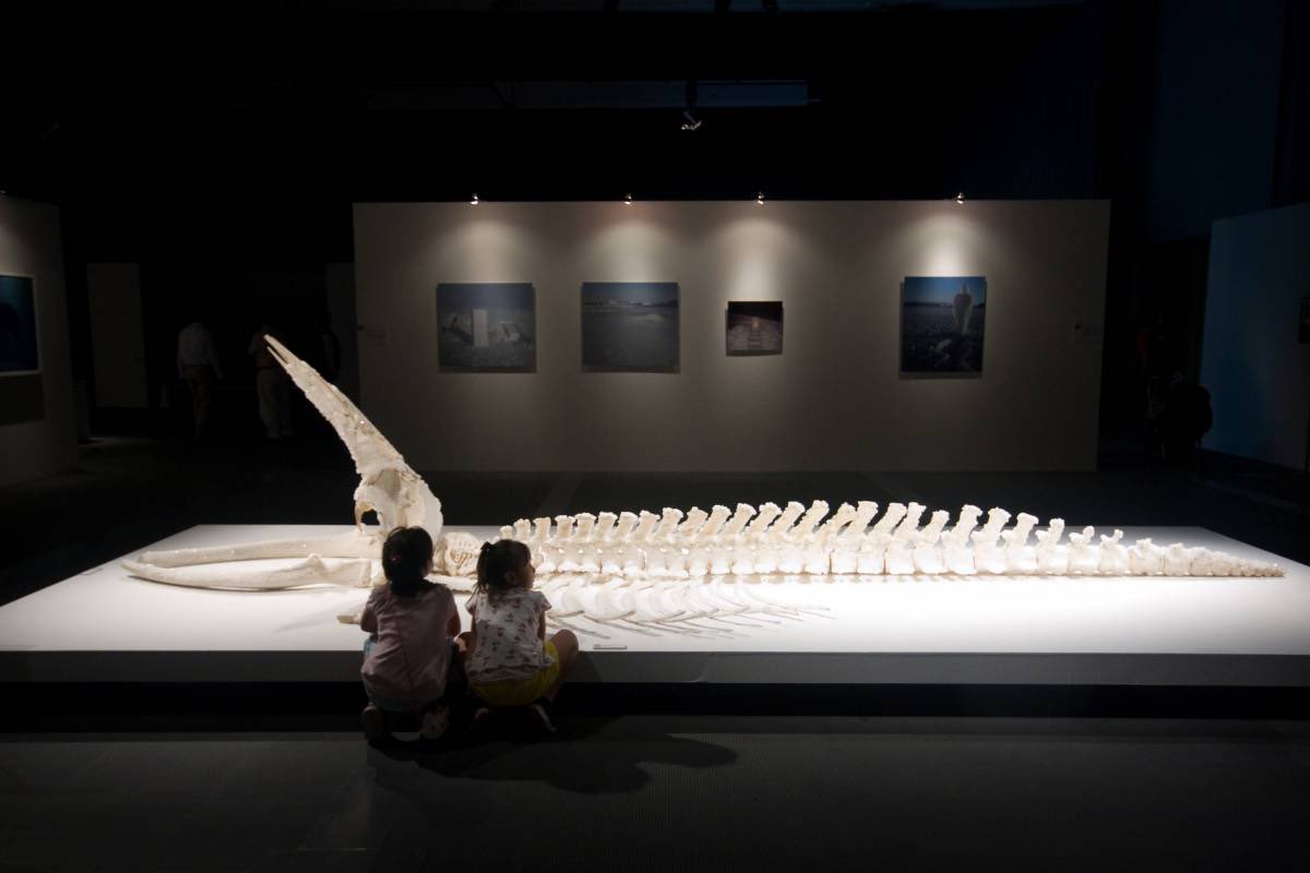 Verity Burke tweet media