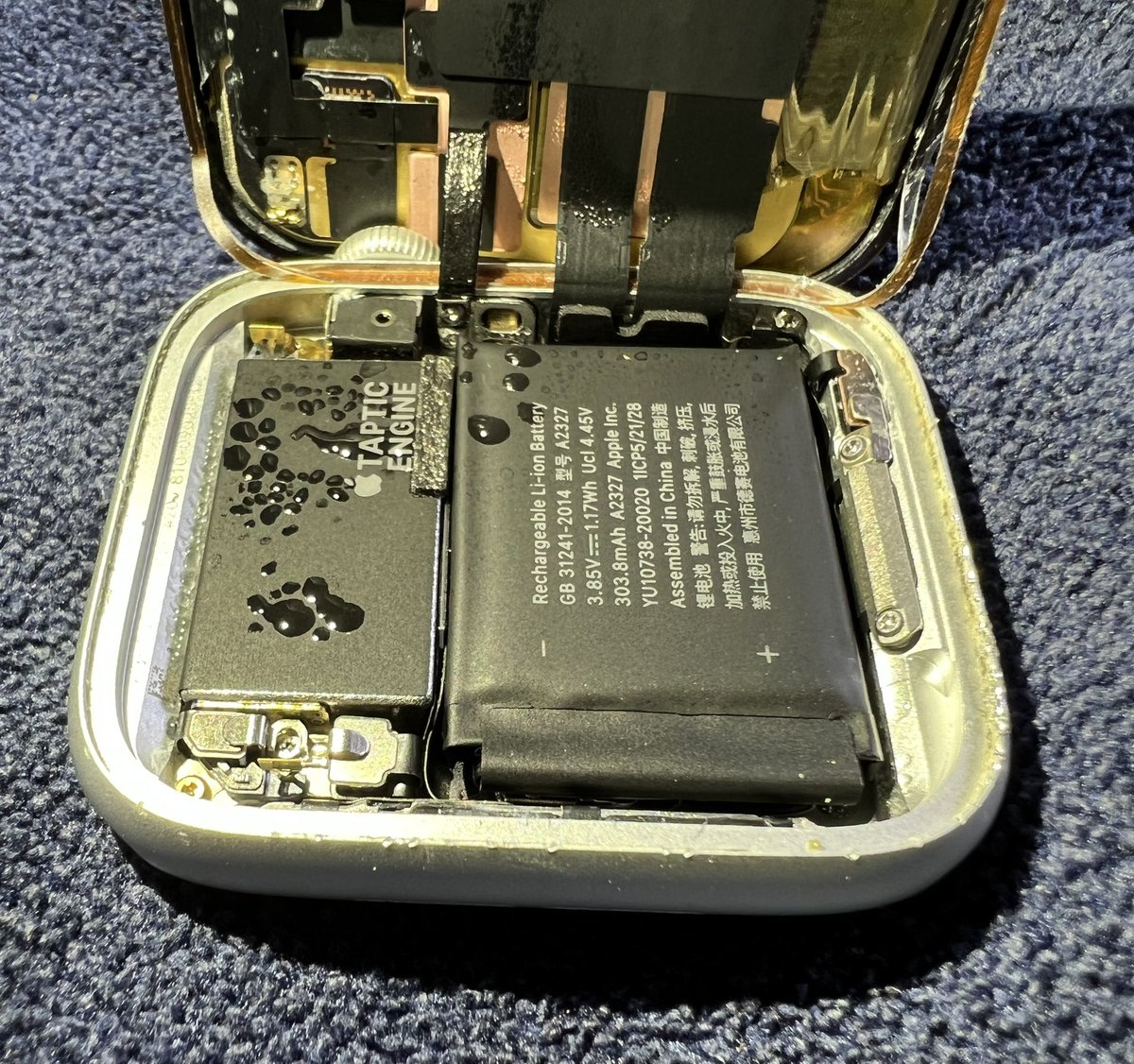 .<a href="/tim_cook/">Tim Cook</a> <a href="/Apple/">Apple</a> This series 6 was advertised as swim proof too and it drowned! #AppleEvent #applewatch6 #AppleWatch8 #applewatch