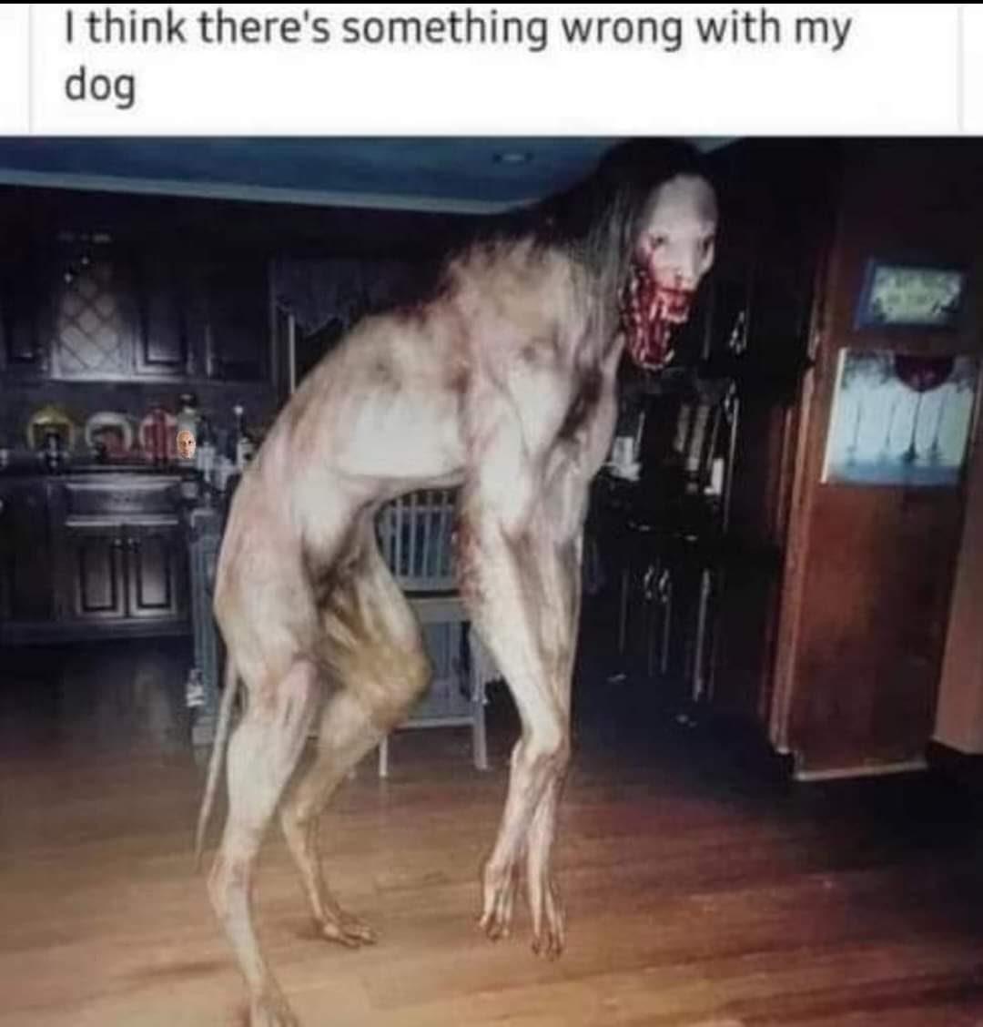 Masksunlimited's tweet photo. @sauceddie 

Oh LoOk A sKiNwAlKeR https://t.co/u50Hfc0rEX