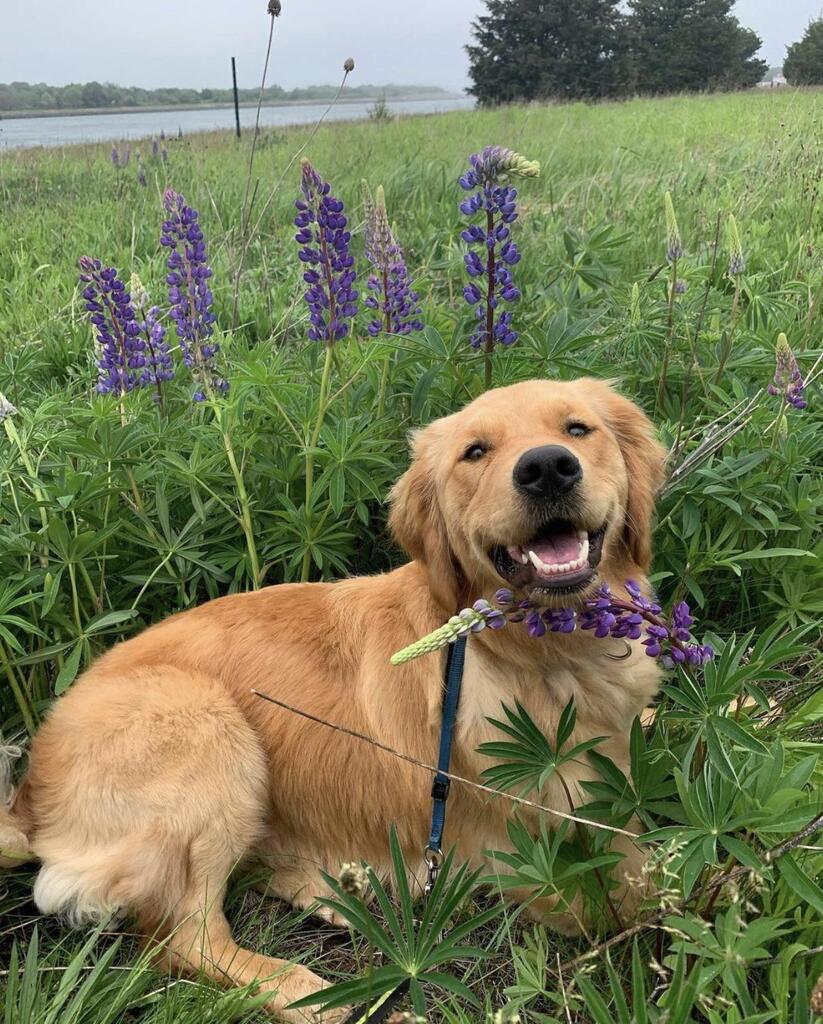 Cute Animal Pictures tweet media