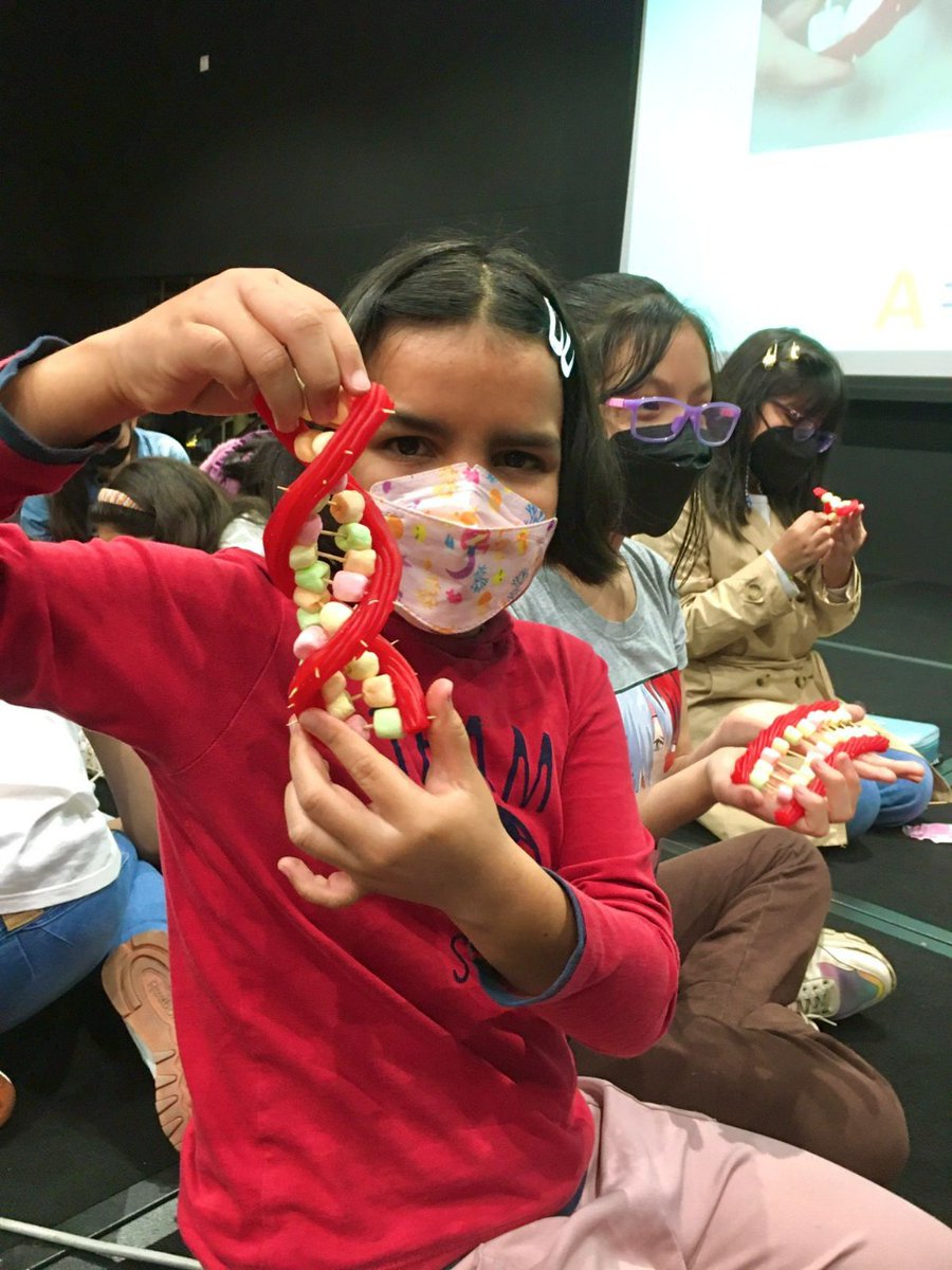 rfas_upch's tweet photo. #RFASWorkshops
The book of life: what is DNA?📖🧬
Las #niñasRFAS realizaron la extracción del ADN de la fresa y la construcción del modelo del ADN ¡Una fantástica forma de aprender que compartimos mucho en común con una 🍓, genéticamente hablando, y sobre la forma del ADN! 🧠🧬🌱 https://t.co/QNTsFzjtgP