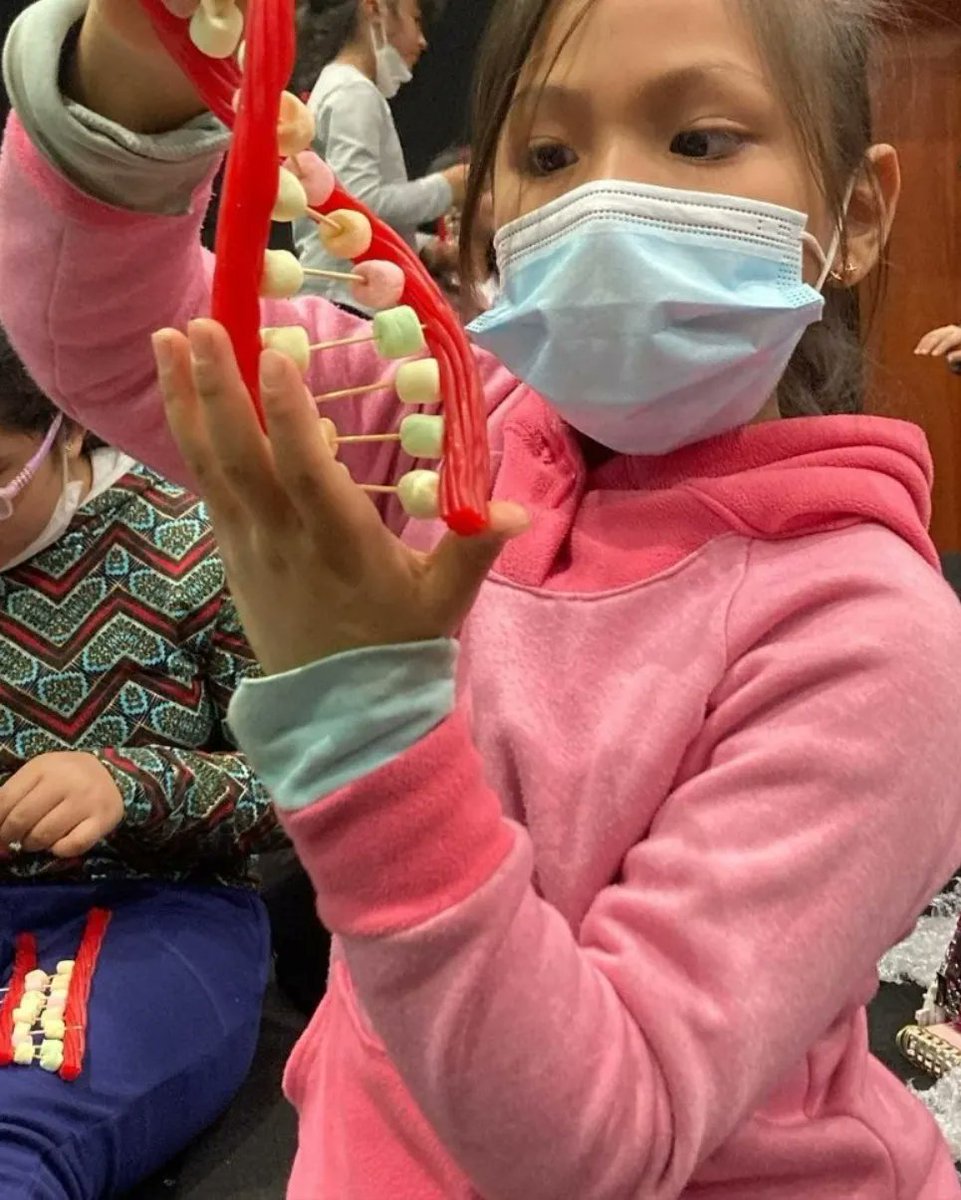rfas_upch's tweet photo. #RFASWorkshops
The book of life: what is DNA?📖🧬
Las #niñasRFAS realizaron la extracción del ADN de la fresa y la construcción del modelo del ADN ¡Una fantástica forma de aprender que compartimos mucho en común con una 🍓, genéticamente hablando, y sobre la forma del ADN! 🧠🧬🌱 https://t.co/QNTsFzjtgP